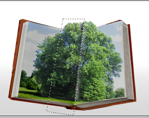 Creation of my book: Step 6